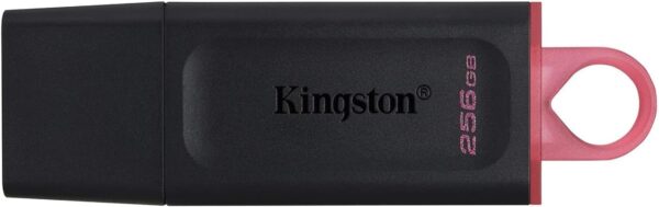 lapiz memoria Kingston Pen Drive 256GB USB 3.2 Datatraveler Exodia