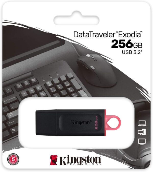 lapiz memoria Kingston Pen Drive 256GB USB 3.2 Datatraveler Exodia - Imagen 2